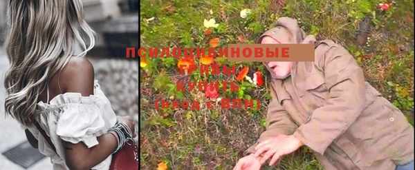 Альфа ПВП Лабытнанги
