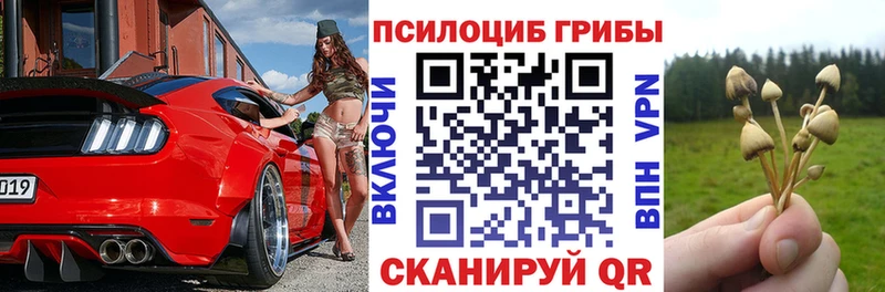 где можно купить наркотик  Нарьян-Мар  Псилоцибиновые грибы MAGIC MUSHROOMS 