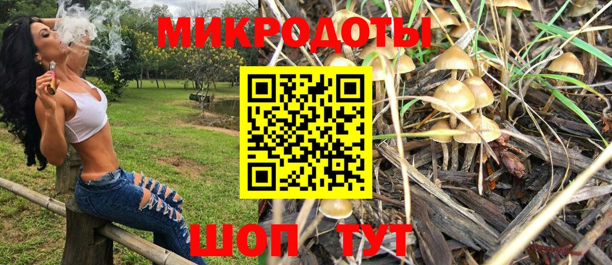 Галлюциногенные грибы GOLDEN TEACHER  Псилоцибиновые грибы GOLDEN TEACHER  Нарьян-Мар  Вход с VPN 