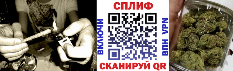 Бошки Шишки ГИДРОПОН  купить наркоту  Нарьян-Мар 